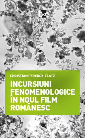 Incursiuni fenomenologice în noul film românesc