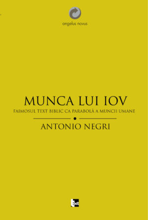 Munca lui Iov